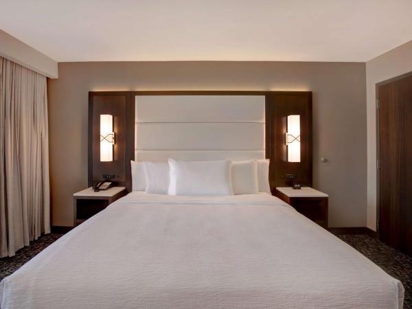 Embassy Suites By Hilton Oklahoma City Northwest : photo 2 de la chambre one-bedroom king suite with roll-in shower - mobility access/non-smoking