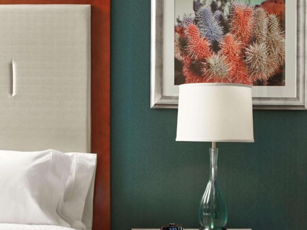 Hilton Garden Inn Phoenix Downtown : photo 1 de la chambre chambre lit king-size