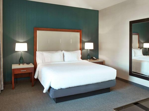 Hilton Garden Inn Phoenix Downtown : photo 4 de la chambre suite 1 chambre lit king-size avec canapé-lit