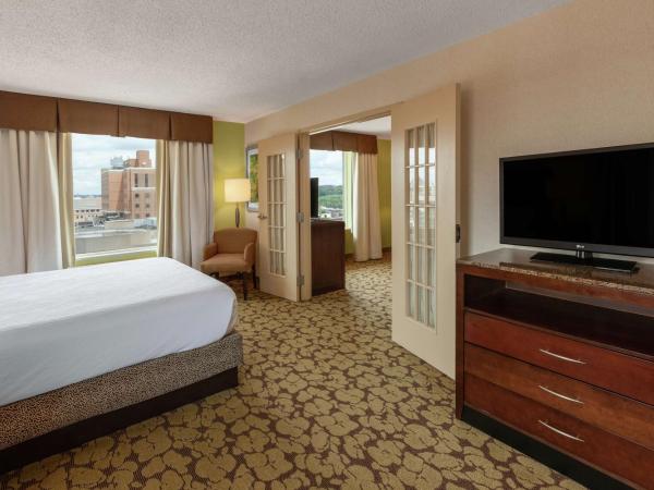Hilton Garden Inn Pittsburgh University Place : photo 1 de la chambre suite 1 chambre lit king-size