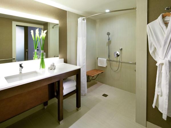 Hilton San Diego Mission Valley : photo 5 de la chambre chambre lit king-size avec douche accessible en fauteuil roulant - Étage supérieur - accessible aux personnes à mobilité réduite/malentendantes