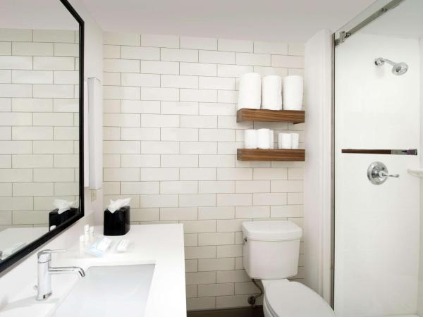 Hilton Garden Inn San Antonio Airport South : photo 4 de la chambre chambre lit king-size