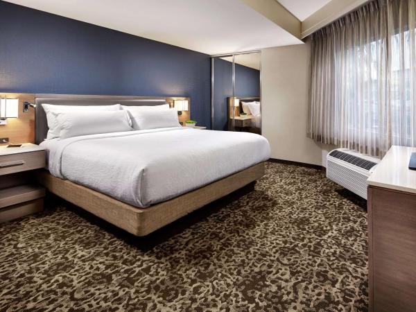 Hilton Garden Inn San Diego Mission Valley/Stadium : photo 1 de la chambre chambre lit king-size