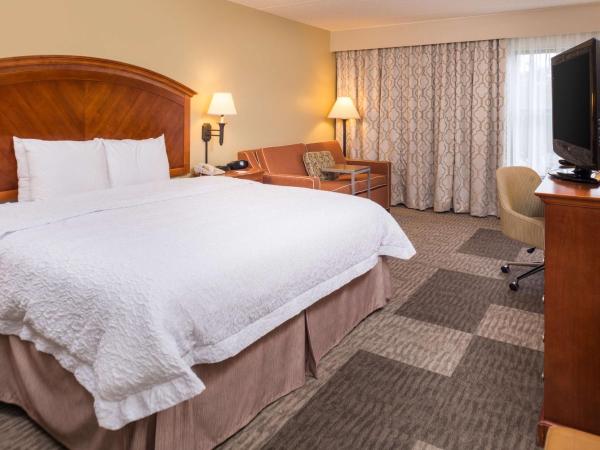 Hampton Inn San Antonio Stone Oak : photo 1 de la chambre chambre lit king-size exécutive avec canapé-lit - non-fumeurs