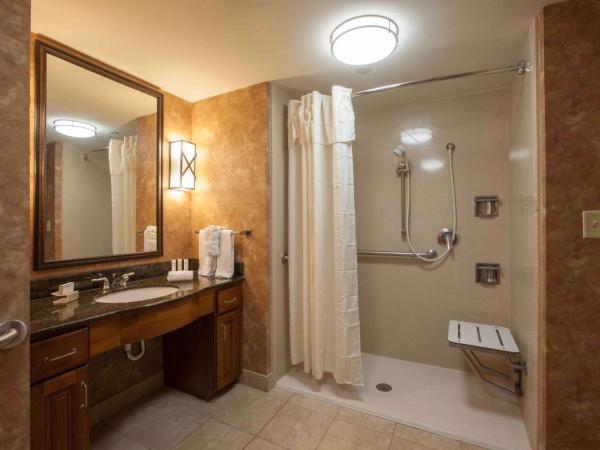 Homewood Suites by Hilton San Antonio North : photo 3 de la chambre king studio with roll-in shower - mobility access/non-smoking