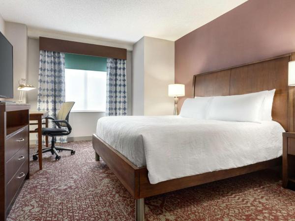 Hilton Garden Inn Louisville Downtown : photo 2 de la chambre chambre lit king-size avec canapé-lit