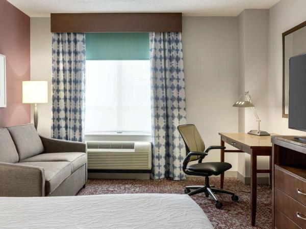 Hilton Garden Inn Louisville Downtown : photo 1 de la chambre chambre lit king-size - adaptée aux personnes malentendantes