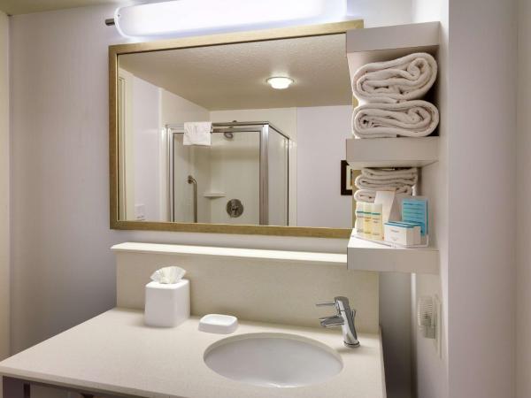 Hampton Inn Salt Lake City Downtown : photo 4 de la chambre suite studio lit king-size