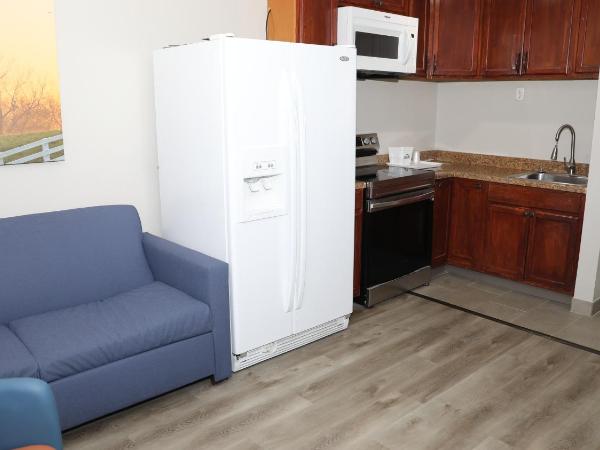 Days Inn & Suites by Wyndham San Antonio North/Stone Oak : photo 3 de la chambre suite lit king-size avec canapé - non-fumeurs