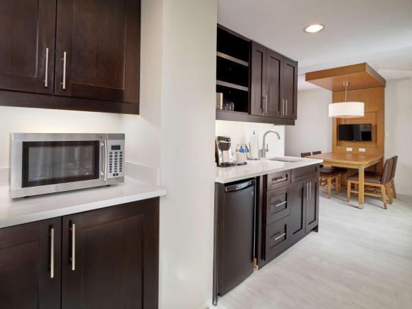 DoubleTree by Hilton Edmonton Downtown : photo 2 de la chambre suite 1 chambre lit king-size avec kitchenette