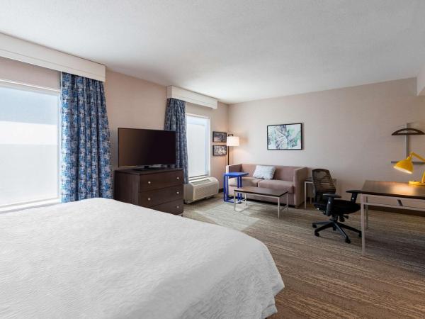 Hampton Inn & Suites by Hilton Dartmouth - Halifax : photo 4 de la chambre suite studio lit king-size - non-fumeurs