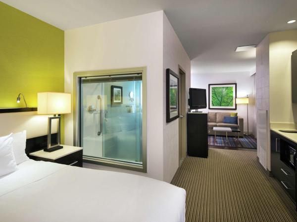 The Hollis Halifax - a DoubleTree Suites by Hilton : photo 2 de la chambre suite studio lit king-size avec canapé-lit