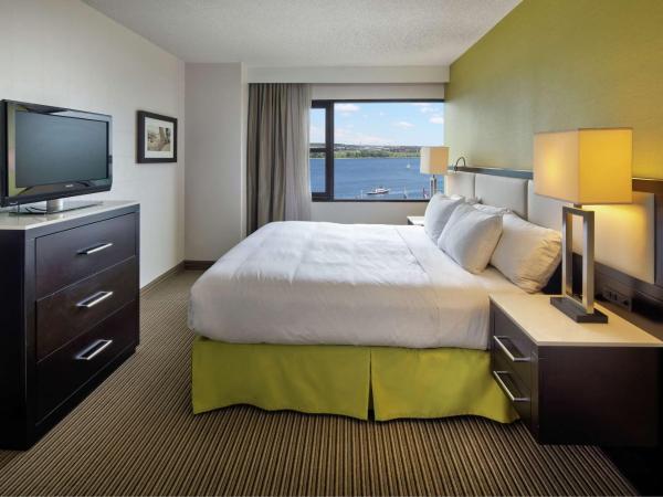 The Hollis Halifax - a DoubleTree Suites by Hilton : photo 2 de la chambre chambre lit king-size