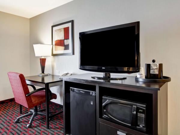 Hampton Inn & Suites Red Deer : photo 3 de la chambre chambre lit king-size pour personnes à mobilité réduite - non-fumeurs