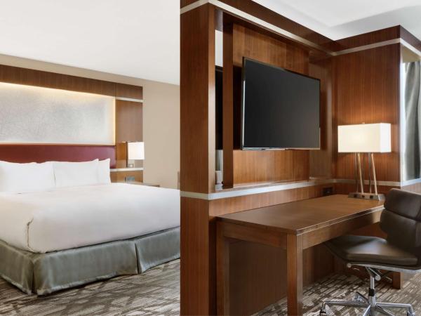 DoubleTree by Hilton Hotel Toronto Airport West : photo 3 de la chambre suite studio lit king-size