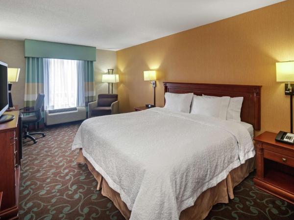 Hampton Inn & Suites by Hilton Toronto Airport : photo 3 de la chambre chambre lit king-size - non-fumeurs