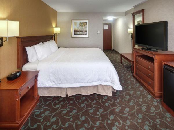 Hampton Inn & Suites by Hilton Toronto Airport : photo 5 de la chambre chambre lit king-size - non-fumeurs