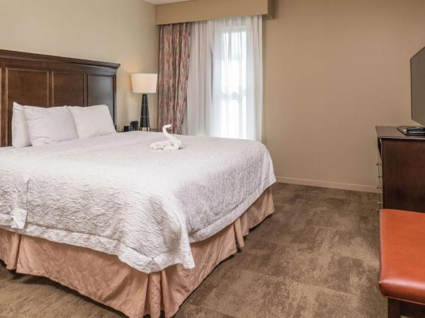 Hampton Inn & Suites Charlotte Arrowood Rd : photo 2 de la chambre suite lit king-size avec cuisine - non-fumeurs