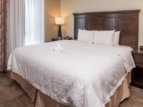 Hampton Inn & Suites Charlotte Arrowood Rd : photo 2 de la chambre chambre Étudiante lit king-size - non-fumeurs