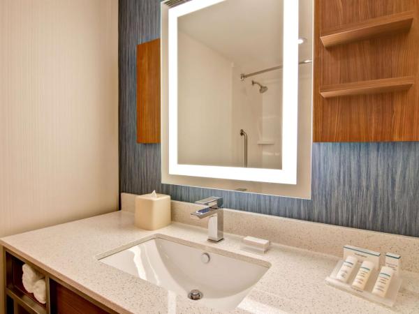 Hilton Garden Inn Toronto/Mississauga : photo 3 de la chambre chambre lit king-size