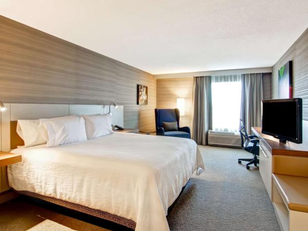 Hilton Garden Inn Toronto/Mississauga : photo 2 de la chambre chambre lit king-size