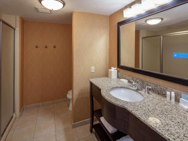 Hampton Inn & Suites Austin Cedar Park-Lakeline : photo 3 de la chambre chambre lit king-size deluxe - non-fumeurs 
