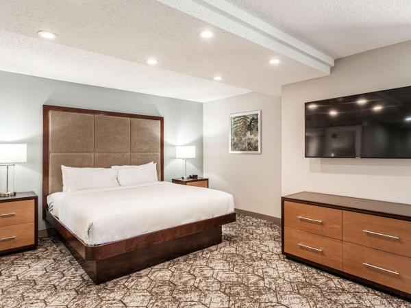 DoubleTree by Hilton Memphis : photo 5 de la chambre suite junior lit king-size avec canapé-lit – non-fumeurs