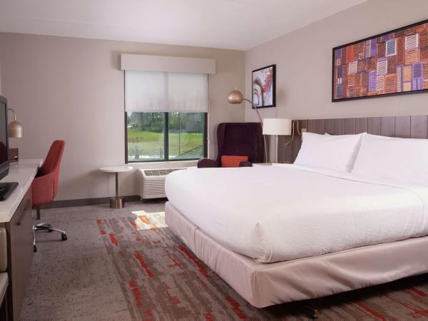 Hilton Garden Inn Atlanta Airport/Millenium Center : photo 2 de la chambre chambre lit king-size