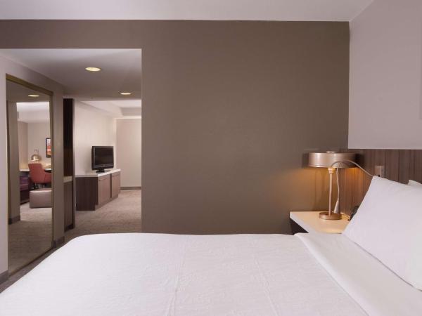 Hilton Garden Inn Atlanta Airport/Millenium Center : photo 3 de la chambre suite junior lit king-size avec canapé-lit