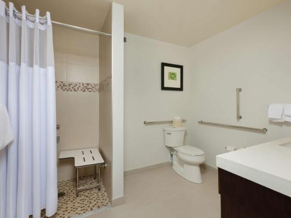 Hilton Garden Inn Pittsburgh Downtown : photo 3 de la chambre chambre lit king-size avec douche accessible en fauteuil roulant - adaptée aux personnes à mobilité réduite