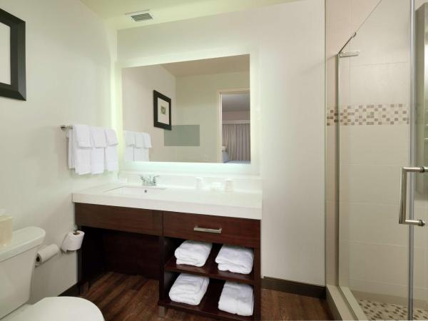 Hilton Garden Inn Pittsburgh Downtown : photo 4 de la chambre suite junior lit king-size avec canapé-lit