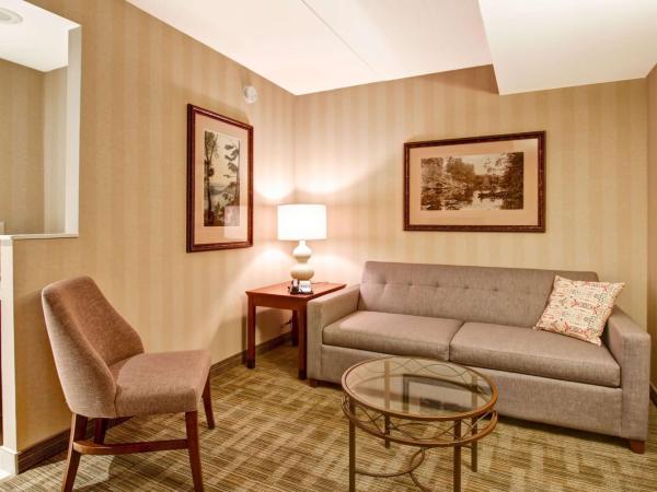 DoubleTree Fallsview Resort & Spa by Hilton - Niagara Falls : photo 4 de la chambre two-room king suite with upper river view