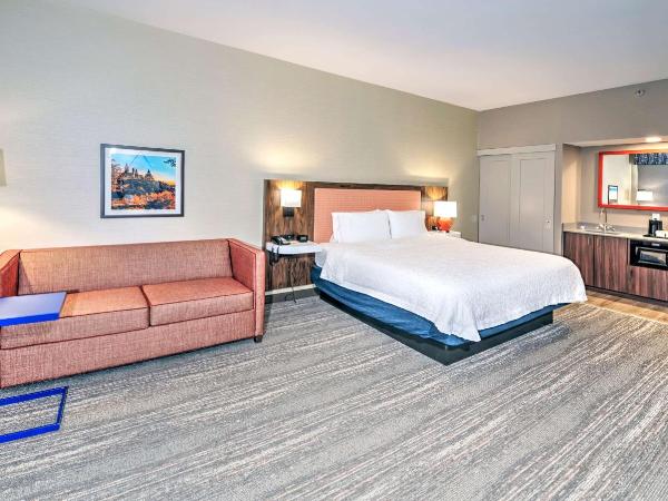 Hampton by Hilton Ottawa : photo 3 de la chambre chambre lit king-size exécutive avec canapé-lit - non-fumeurs