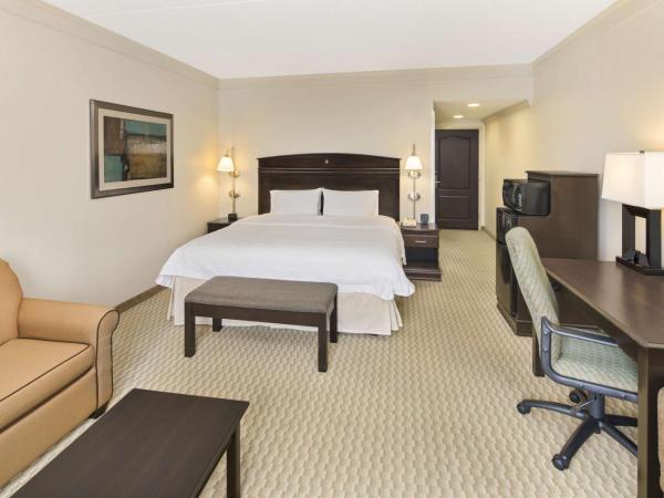 Hampton Inn Columbia I-20-Clemson Road : photo 1 de la chambre chambre lit king-size avec canapé-lit