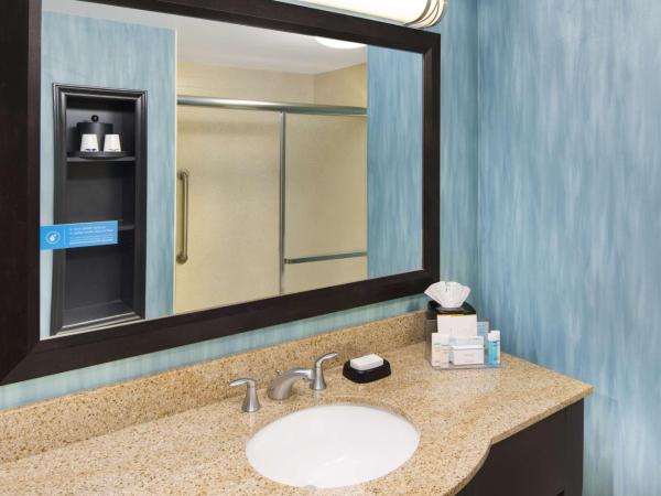 Hampton Inn Columbia I-20-Clemson Road : photo 3 de la chambre chambre lit king-size avec canapé-lit