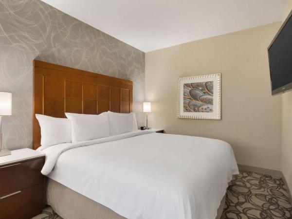 Embassy Suites San Antonio Airport : photo 4 de la chambre suite 2 chambres avec lit king-size