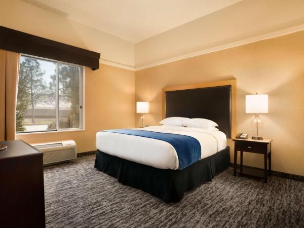 DoubleTree by Hilton Hotel Oklahoma City Airport : photo 2 de la chambre chambre lit king-size pour personnes à mobilité réduite - non-fumeurs