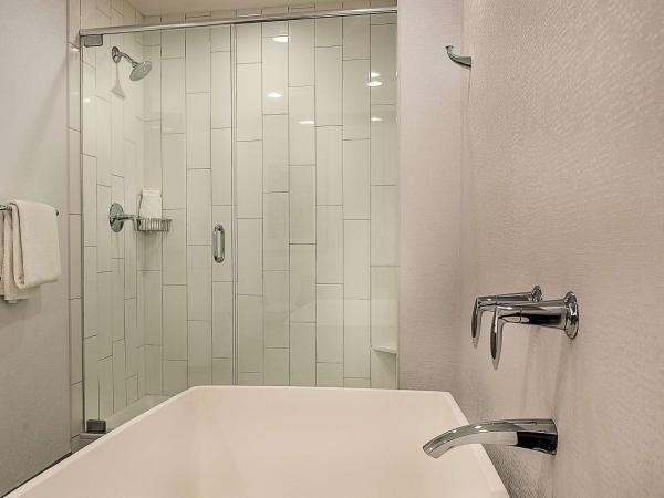 Hilton St. Louis at the Ballpark : photo 5 de la chambre suite 1 chambre lit king-size