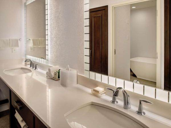 Hilton St. Louis at the Ballpark : photo 6 de la chambre suite 1 chambre lit king-size