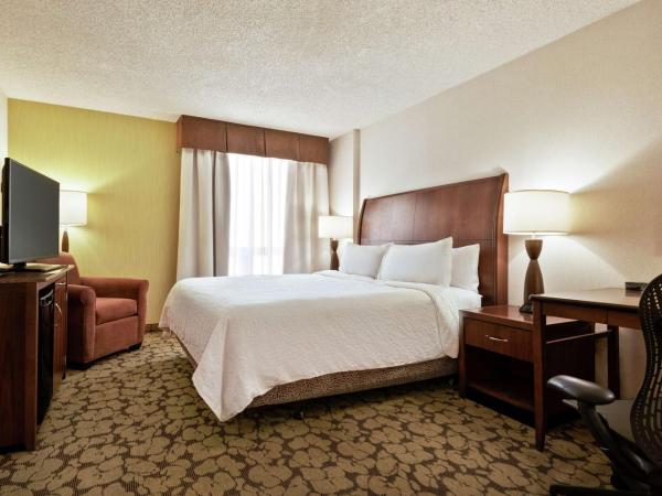 Hilton Garden Inn Saskatoon Downtown : photo 1 de la chambre chambre lit king-size - accessible aux personnes à mobilité réduite