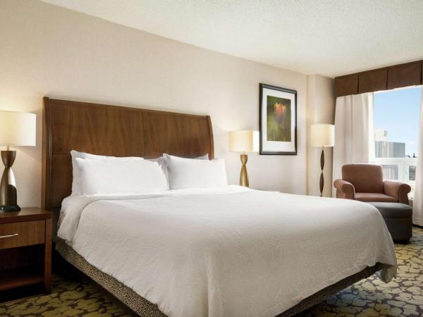 Hilton Garden Inn Saskatoon Downtown : photo 2 de la chambre chambre lit king-size avec vue sur la ville