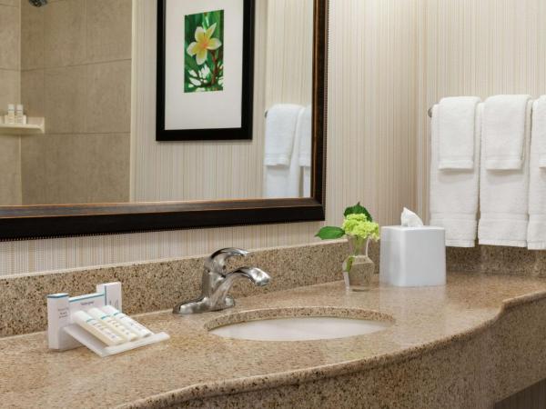 Hilton Garden Inn Saskatoon Downtown : photo 6 de la chambre chambre lit king-size