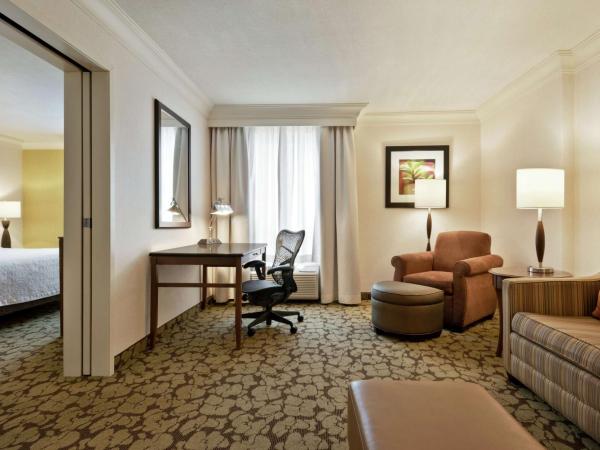 Hilton Garden Inn Saskatoon Downtown : photo 1 de la chambre suite spa lit king-size deluxe avec cheminée
