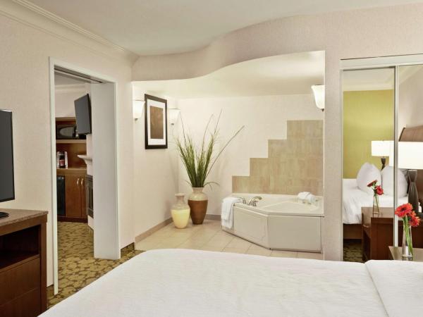 Hilton Garden Inn Saskatoon Downtown : photo 5 de la chambre suite spa lit king-size deluxe avec cheminée
