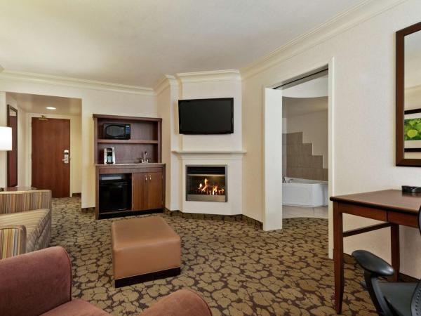 Hilton Garden Inn Saskatoon Downtown : photo 3 de la chambre suite spa lit king-size deluxe avec cheminée
