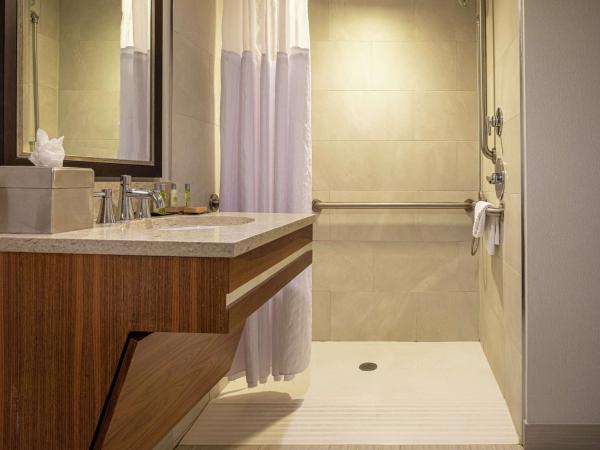 DoubleTree by Hilton Pittsburgh-Green Tree : photo 3 de la chambre chambre lit king-size avec douche accessible en fauteuil roulant - adaptée aux personnes à mobilité réduite/non-fumeurs