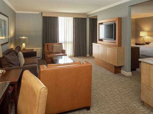 DoubleTree by Hilton Pittsburgh-Green Tree : photo 2 de la chambre suite lit king-size