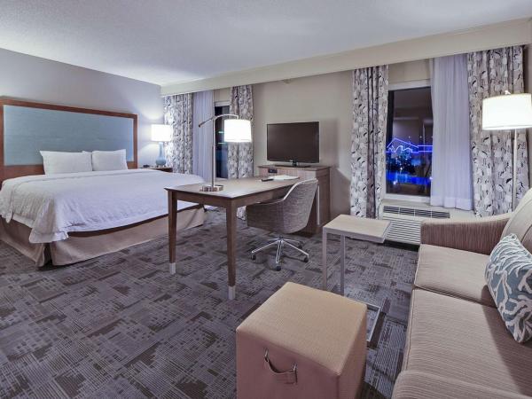Hampton Inn Myrtle Beach Broadway at the Beach : photo 1 de la chambre studio lit king-size - vue sur lac - non-fumeurs