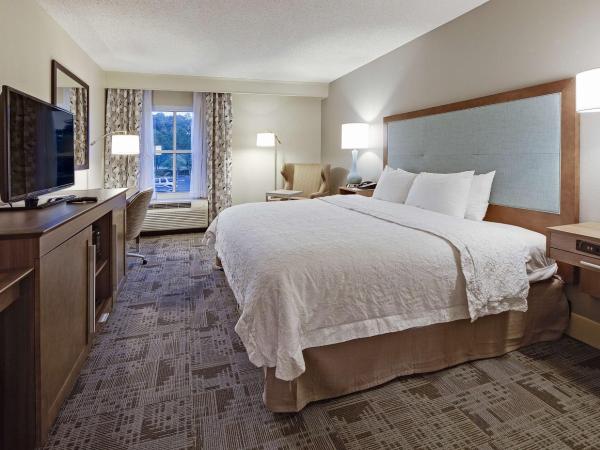 Hampton Inn Myrtle Beach Broadway at the Beach : photo 1 de la chambre chambre lit king-size avec vue sur le lac - non-fumeurs