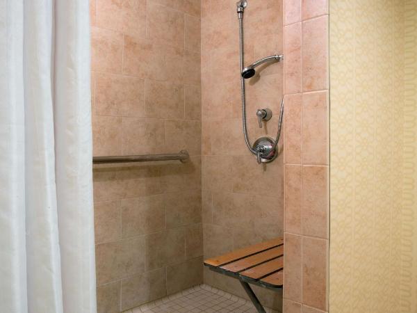 DoubleTree Suites by Hilton Hotel Detroit Downtown - Fort Shelby : photo 3 de la chambre one-bedroom king suite with roll-in shower - mobility access/non-smoking